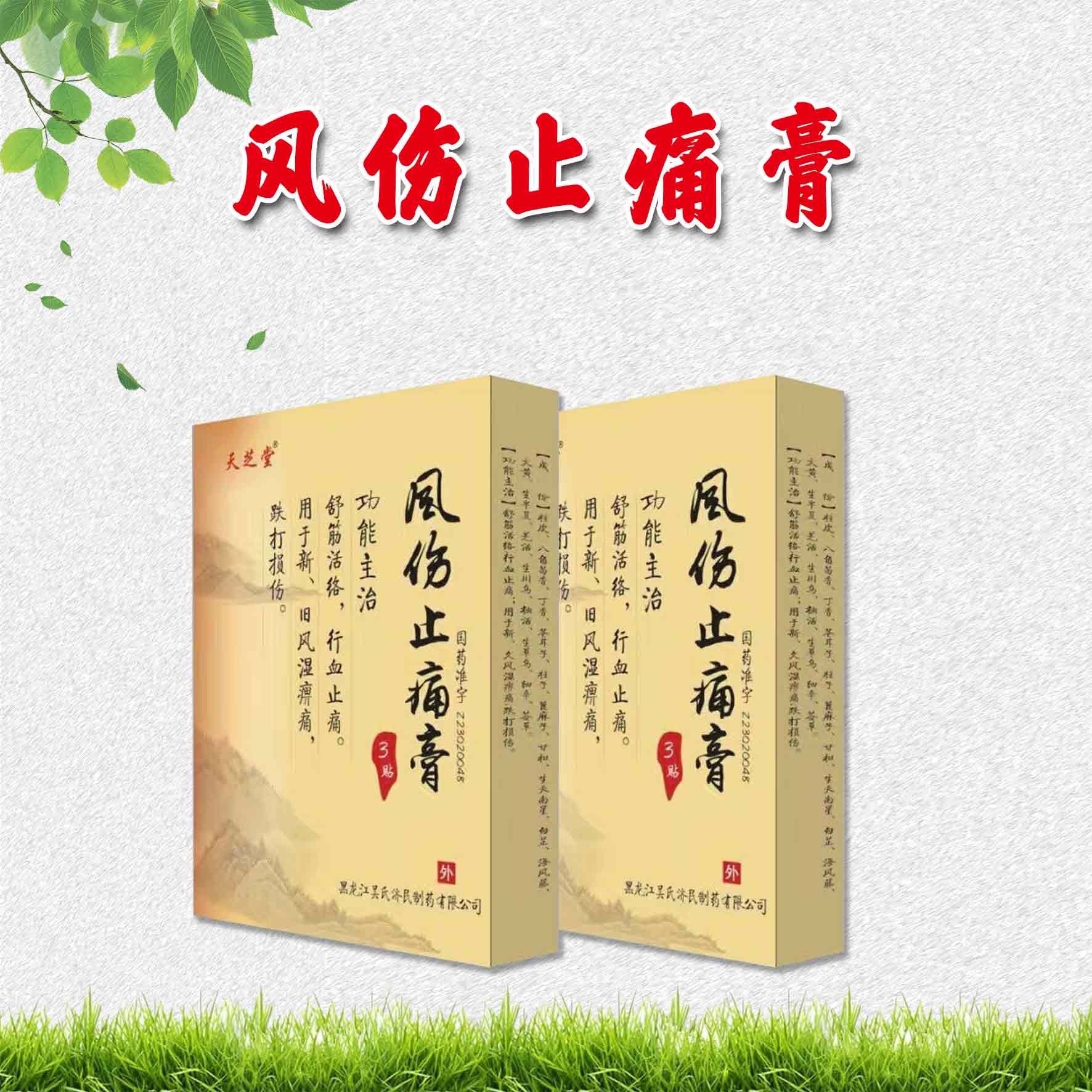 風傷止痛膏